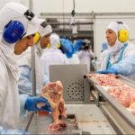 Daftar Negara Amerika Latin Penghasil Daging Sapi Terbesar