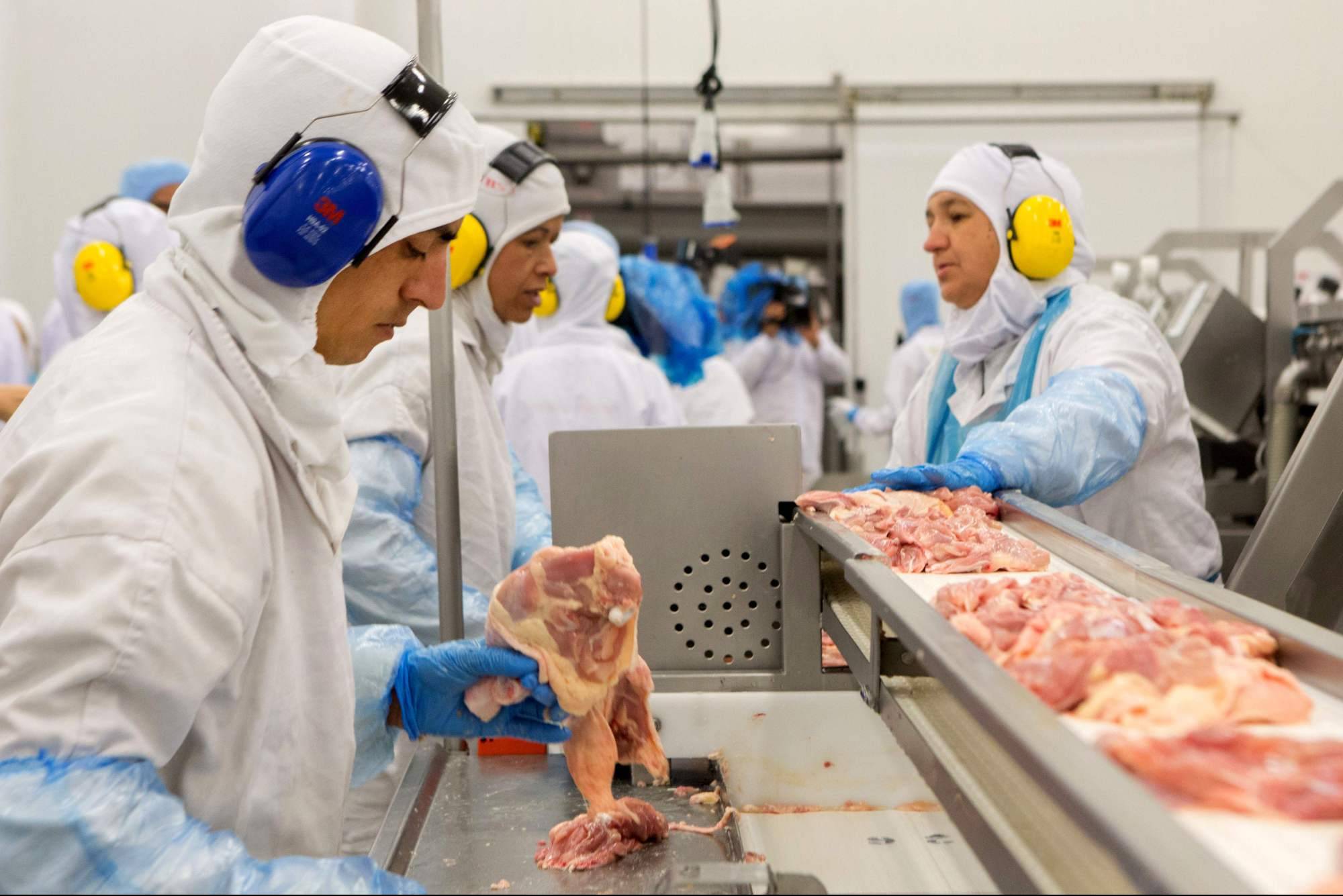 Daftar Negara Amerika Latin Penghasil Daging Sapi Terbesar